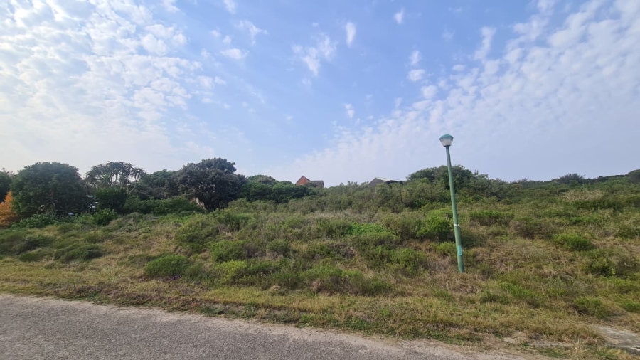 0 Bedroom Property for Sale in Boknesstrand Eastern Cape